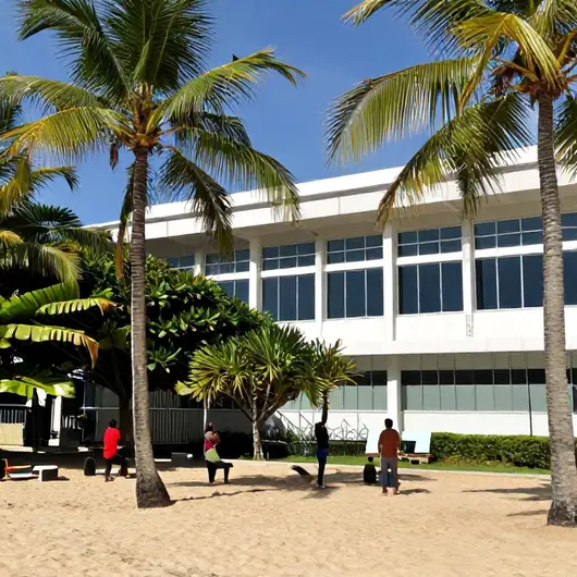 Descubra a Academia Das Cidades Praia De Tamandaré