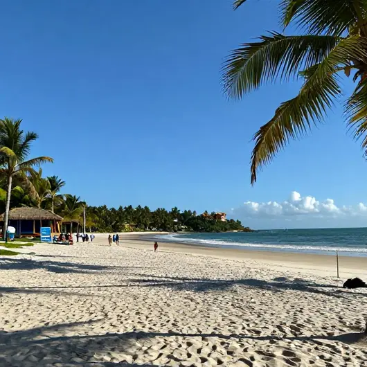 Roteiro de 1 dia Descubra a Praia dos Carneiros