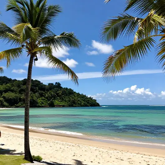 Descubra as Maravilhas da Praia dos Carneiros Descubra as Maravilhas da Praia dos Carneiros