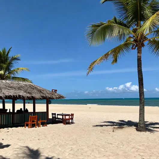 Descubra o Carneiros Prime Turismo