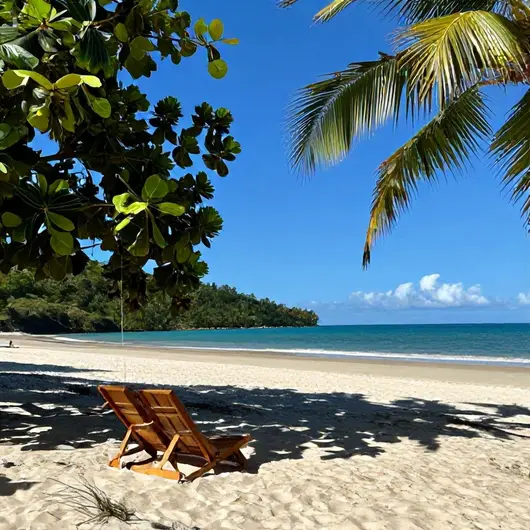 Divisa dos Carneiros: O Paraíso das Praias em Pernambuco