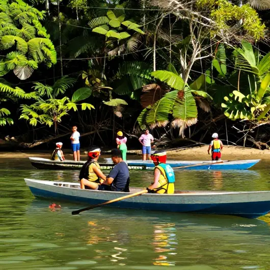 Explore os Melhores Passeios em TAMANDARÉ PE