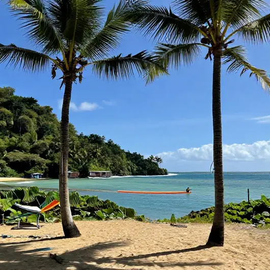 Melhores parques e trilhas em Tamandaré: 8 escolhas essenciais