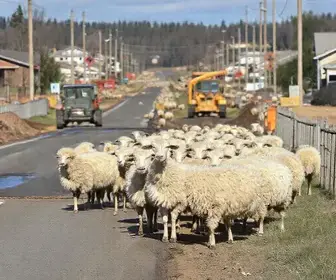 obras de passagens molhadas